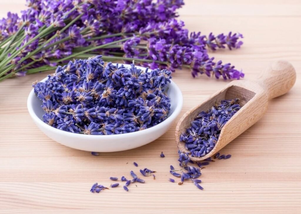 تجربة اللافندر المجفف من iHerb